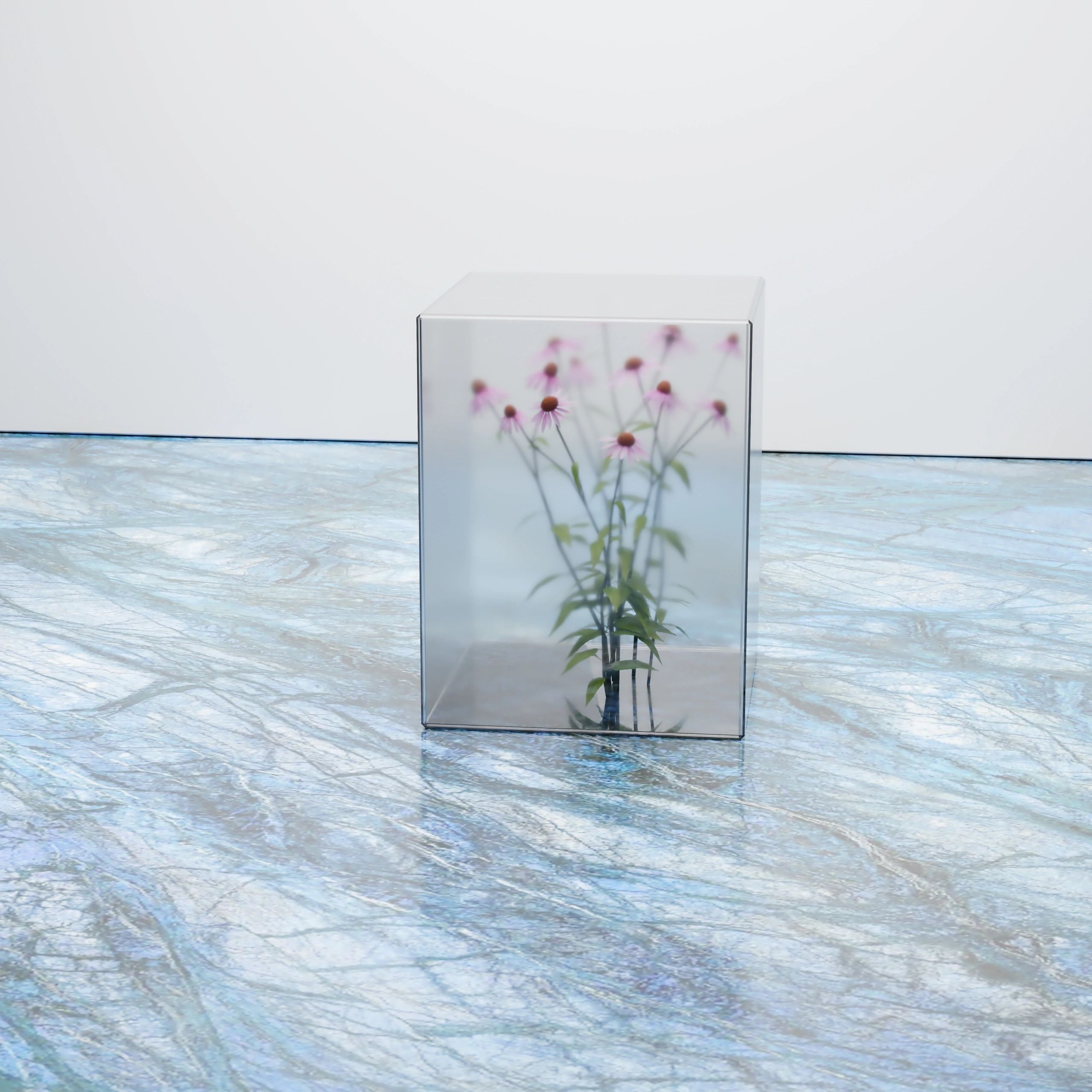 Creative still life with flowers in a transparent cube